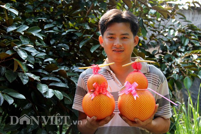 C&ugrave;ng rơi v&agrave;o t&igrave;nh trạng &lsquo;ch&aacute;y&rsquo; h&agrave;ng như xo&agrave;i bao chữ l&agrave; loại tr&aacute;i c&acirc;y chơi Tết c&oacute; t&ecirc;n gọi dưa hấu hồ l&ocirc;