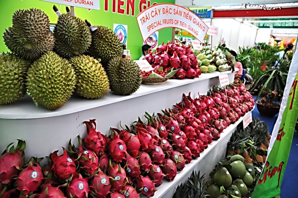 Đặc sản khắp v&ugrave;ng miền hội tụ tại H&agrave; Nội dịp tết Ất M&ugrave;i 2015