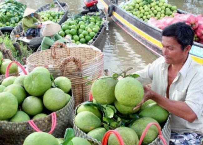 Tr&aacute;i c&acirc;y đặc sản Nam Bộ theo ti&ecirc;u chuẩn VietGap