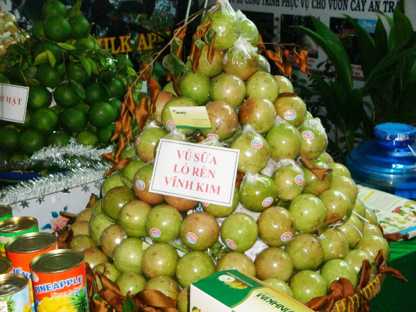 Tr&aacute;i c&acirc;y ngon n&ecirc;n chọn m&ugrave;a n&agrave;y