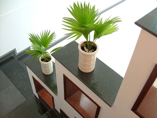 Trang tr&iacute; nh&agrave; bằng c&acirc;y nhỏ tr&ecirc;n bậc h&agrave;nh lang