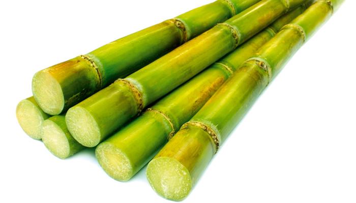 Mía cũng có tác dụng làm trắng và sạch răng Mía cũng có tác dụng làm trắng và sạch răng