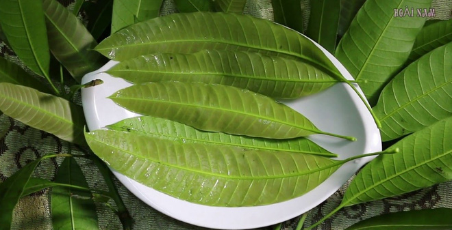Đ&aacute;nh bay tiểu đường sỏi thận v&agrave; huyết &aacute;p nhờ l&aacute; n&agrave;y - ảnh 1