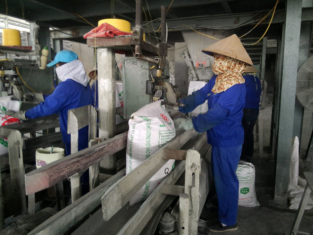 Những m&ugrave;a xu&acirc;n kh&ocirc;ng kịp đ&oacute;n giao thừa