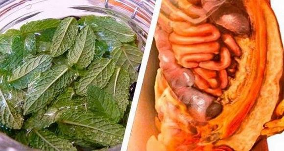 Bệnh về gan sẽ tr&aacute;nh xa nếu bạn uống loại nước n&agrave;y