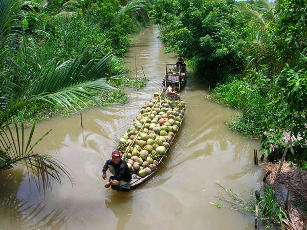 Du lịch miền T&acirc;y đừng qu&ecirc;n kh&aacute;m ph&aacute; c&aacute;c miệt vườn tr&aacute;i c&acirc;y thơm ngon nức tiếng