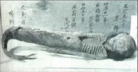 người c&aacute; Shinto ở Nhật Bản