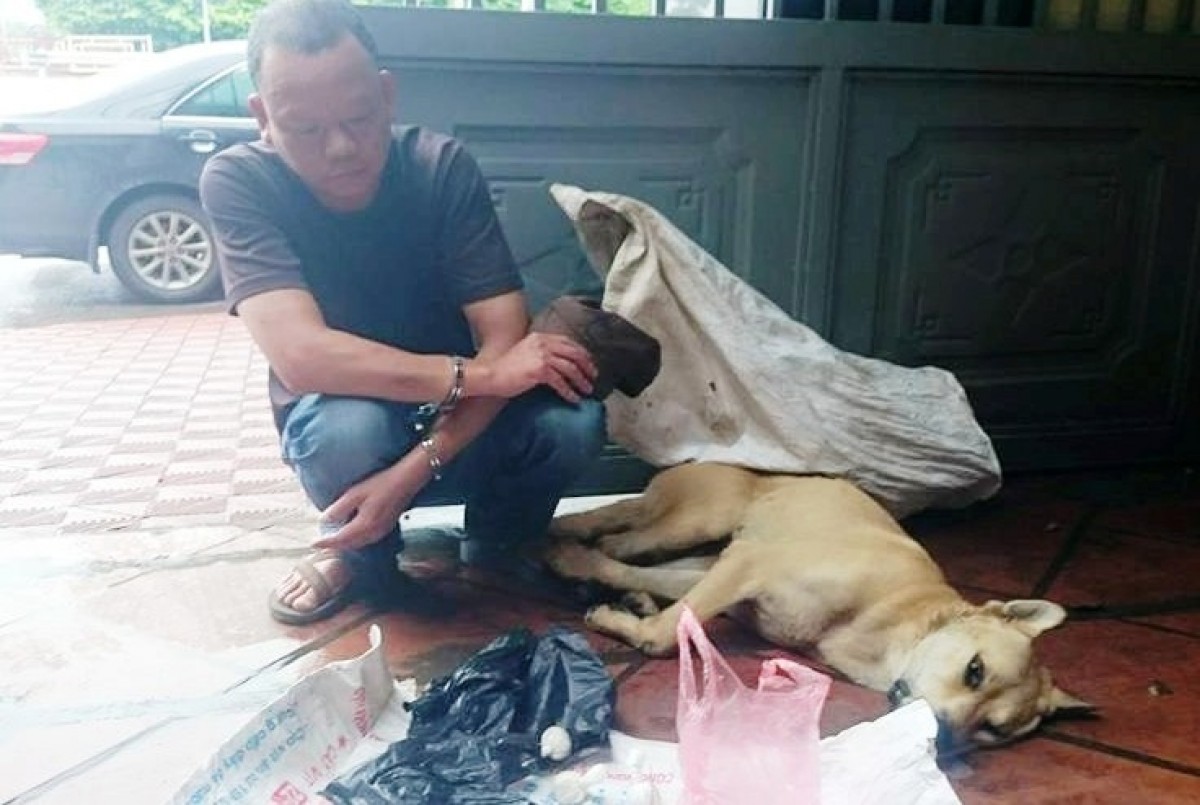 trộm chó ban ngày trộm chó ban ngày