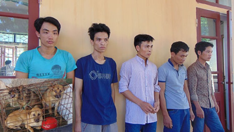 Trộm chó ở Thanh Hóa Trộm chó ở Thanh Hóa