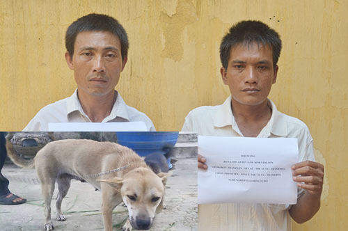 Trộm ch&oacute; ở thanh h&oacute;a