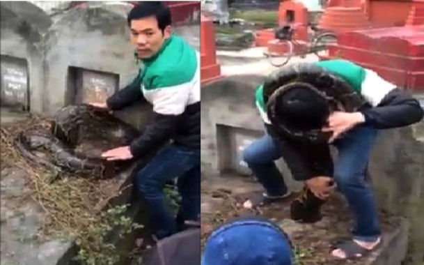 Trăn khổng lồ chui v&agrave;o mộ