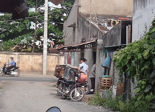  C&aacute;c l&aacute;i ch&oacute; giao ch&oacute; cho l&ograve; mổ ở phường 12 quận G&ograve; Vấp, TP.HCM