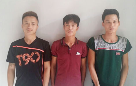 Trộm cắp d&acirc;y điện 3 pha