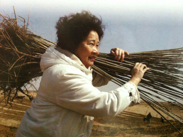 C&ocirc; Yi Jiefeng, người mẹ vĩ đại đã dành su&ocirc;́t 12 năm tr&ocirc;̀ng c&acirc;y xanh tr&ecirc;n sa mạc đ&ecirc;̉ hoàn thành gi&acirc;́c mơ cho con trai mình 