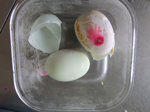 Hai quả trứng c&oacute; m&agrave;u đỏ bất thường