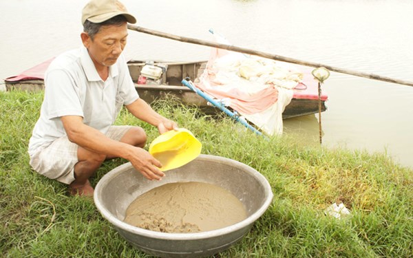 trứng nước, nu&ocirc;i c&aacute;, nu&ocirc;i bo bo, thị trường, vi sinh vật