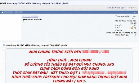 Trứng kiến gai đen được kh&aacute; nhiều người ưa chuộng