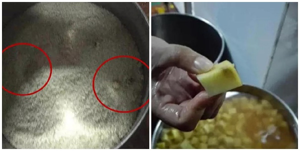 Trường mẫu gi&aacute;o cho trẻ ăn cơm mốc, khoai t&acirc;y mọc mầm