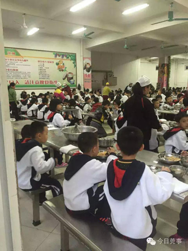 Trường mẫu gi&aacute;o cho trẻ ăn cơm mốc, khoai t&acirc;y mọc mầm