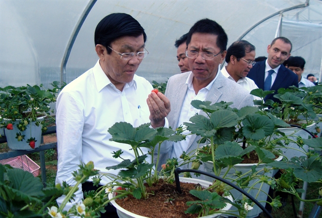 M&ocirc; h&igrave;nh n&ocirc;ng nghiệp c&ocirc;ng nghệ cao 
