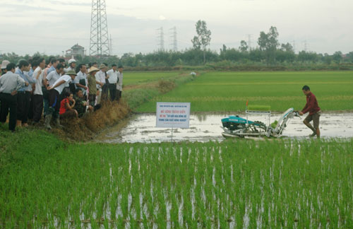 M&ocirc; h&igrave;nh tr&igrave;nh diễn mạ khay m&aacute;y cấy