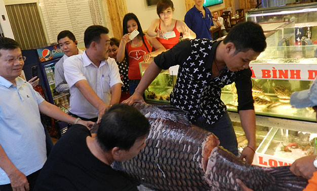 c&aacute; h&ocirc;, c&aacute; khủng, c&aacute; hiếm, phận người, b&iacute; ẩn