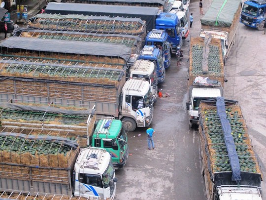 Cửa khẩu T&acirc;n Thanh: Sang năm vẫn c&ograve;n cảnh &ugrave;n tắc dưa hấu
