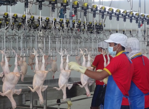 Mặt h&agrave;ng n&agrave;o đang kh&ocirc;ng bị 'đ&aacute;nh thuế'?