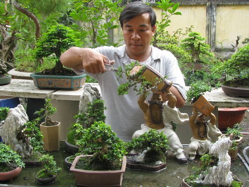 L&agrave;m gi&agrave;u từ c&acirc;y cảnh phục vụ Tết gi&uacute;p người d&acirc;n kiếm thu nhập kh&aacute; cao