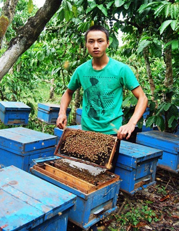 Nghề nuôi ong đã giúp Phạm Văn Bảo Trung trở thành một trong những tỷ phú nông dân trẻ của Việt Nam Nghề nuôi ong đã giúp Phạm Văn Bảo Trung trở thành một trong những tỷ phú nông dân trẻ của Việt Nam