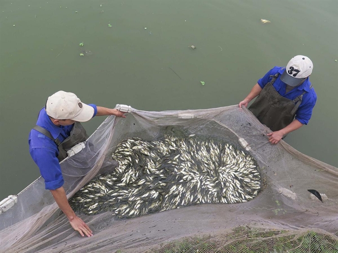 Để n&acirc;ng cao năng suất chất lượng ng&agrave;nh nu&ocirc;i trồng thủy sản, Th&aacute;i Nguy&ecirc;n tập trung đầu tư nghi&ecirc;n cứu khoa học v&agrave; khuyến ngư