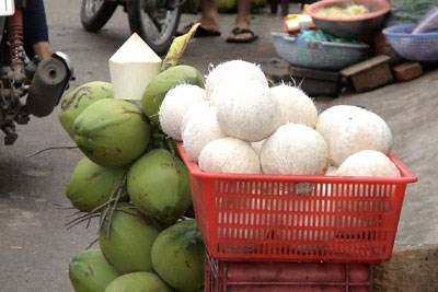 Đừng để c&ocirc;ng nghệ tẩy trắng dừa tươi đ&aacute;nh lừa. 
