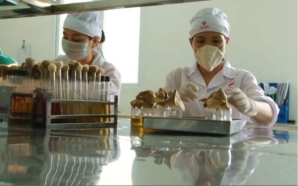 Hệ thống quản l&yacute; quốc gia về vắcxin (NRA) của Việt Nam đ&atilde; vượt qua c&aacute;c đ&aacute;nh gi&aacute; v&agrave; được c&ocirc;ng nhận đạt ti&ecirc;u chuẩn quốc tế  với kết quả rất xuất sắc. 