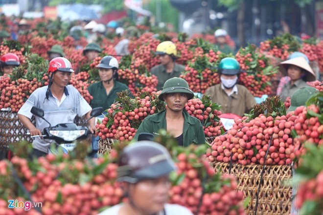 'Vẽ cứ vẽ, l&agrave;m cứ l&agrave;m' mu&ocirc;n đời kh&ocirc;ng hết cảnh được m&ugrave;a mất gi&aacute; 