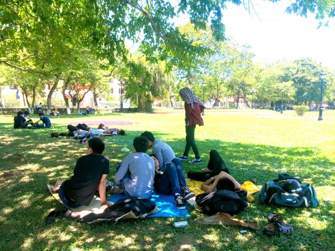 Trốn nóng trên bãi cỏ... Trốn nóng trên bãi cỏ...