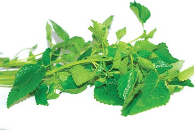 Vi&ecirc;m &acirc;m đạo cs thể được chữa trị từ một số loại thảo dược từ thi&ecirc;n nhi&ecirc;n