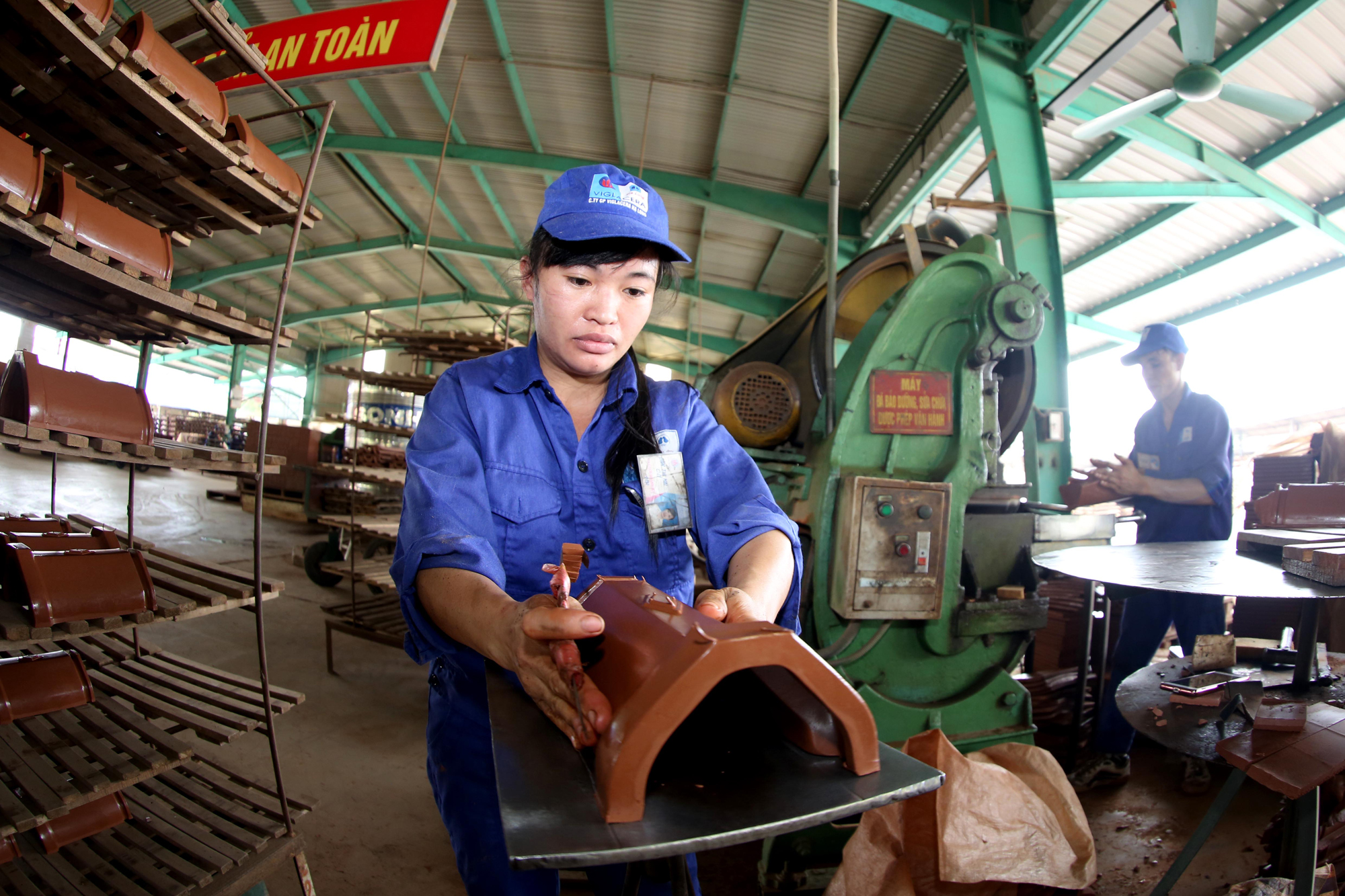 Viglacera Hạ Long Viglacera Hạ Long