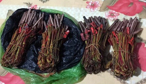 th&agrave;nh phố u&ocirc;ng b&iacute;