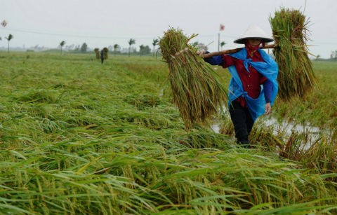 Những số liệu thống k&ecirc; của Việt Nam gần đ&acirc;y đang tốt l&ecirc;n.