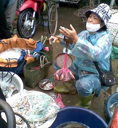 Nạn c&acirc;n đi&ecirc;u đang ho&agrave;nh h&agrave;nh ở c&aacute;c chợ bu&ocirc;n b&aacute;n