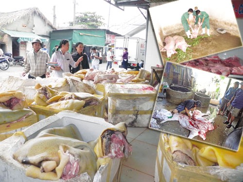 L&ocirc; thịt heo n&aacute;i giả thịt heo rừng, thịt heo bệnh vận chuyển về TP.HCM ti&ecirc;u thụ bị Trạm Kiểm dịch động vật Thủ Đức ngăn chặn - Ảnh: Ho&agrave;ng Việt