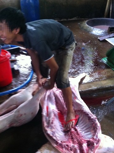 Giẫm đạp l&ecirc;n heo chết tại một l&ograve; mổ ở Đồng Nai