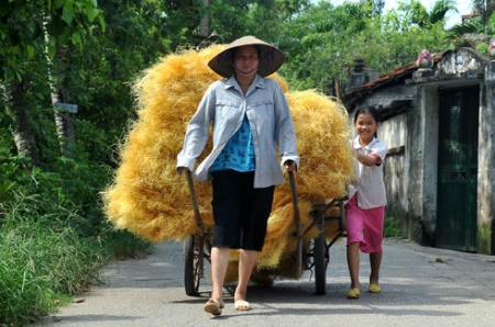 th&ocirc;n Cự Đ&agrave;, x&atilde; Cự Kh&ecirc;, huyện Thanh Oai (H&agrave; Nội) 