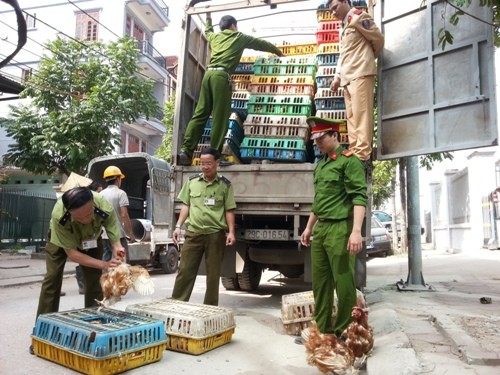 G&agrave; lậu bị cảnh s&aacute;t bắt giữ