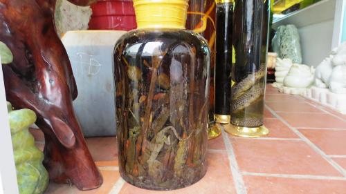 Rượu ng&acirc;m động vật v&agrave; thảo dược trong nh&agrave; h&agrave;ng