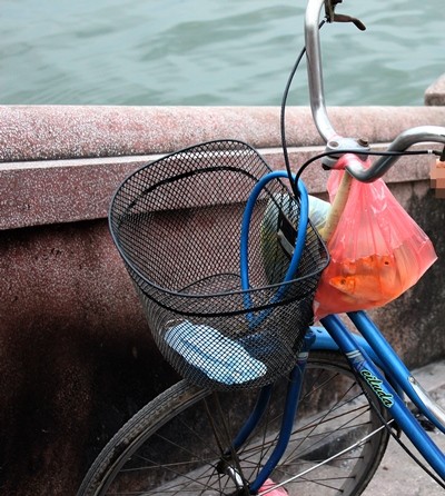 Những chú cá vàng được người dân mang đi thả để ông Công ông Táo có phương tiện lên chầu trời