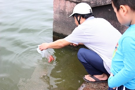 Anh cho rằng thả cá là một việc làm mang ý nghĩa nhân văn, giúp phóng sinh, giải thoát cho cá khỏi cảnh “cá chậu, chim lồng” về với môi trường tự nhiên. Cho con trai đi cùng cũng là cách giáo dục để cậu bé trở thành người tốt, có ích cho xã hội