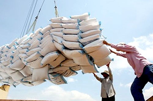 Xuất khẩu gạo sẽ ng&agrave;y một tăng, nếu khoa học được đầu tư th&iacute;ch đ&aacute;ng.