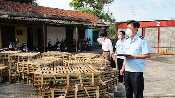 Bắt giữ l&ocirc; h&agrave;ng chứa m&egrave;o Trung Quốc