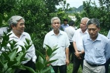 Bộ trưởng Nguyễn Quân làm việc với tỉnh Hòa Bình.